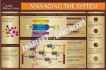 MANAGING THE SYSTEM