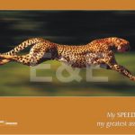 MY SPEED IS MY GREATEST ASSET