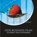 OUR BUSINESS PLAN