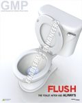 FLUSH THE TOILET AFTER USE ALWAYS