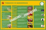 TOBACCO IS DANGEROUS